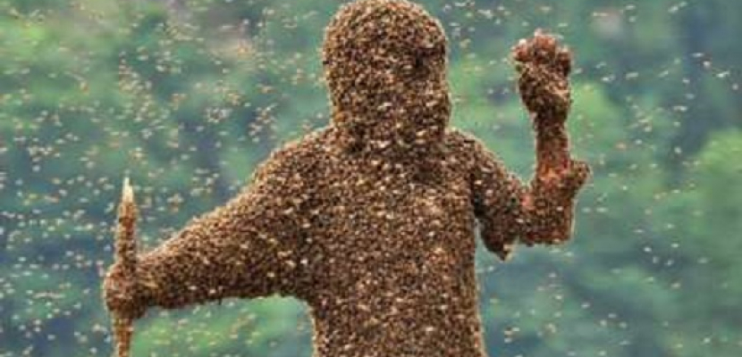 أكثر من ألف نحلة تقتل شاب في متنزه بأريزونا