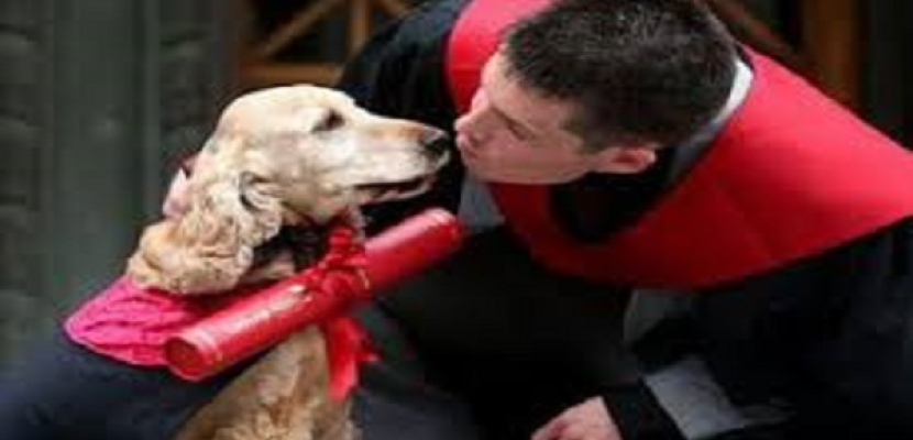 جامعة اسكتلندية تسمح لكلب بحضور حفل تخريج طالب