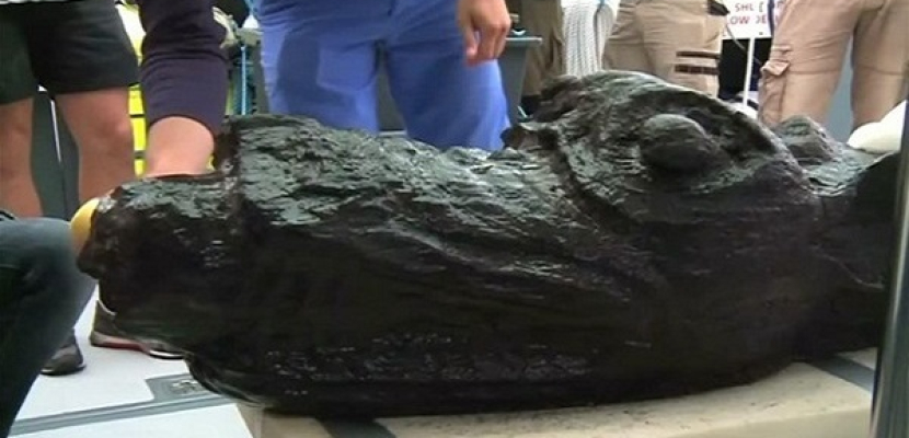 انتشال تمثال أثرى لوحش البحر يعود للقرن الـ15 فى السويد