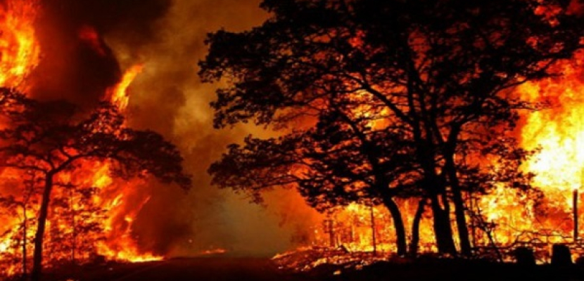 حرائق الغابات تمتد إلى المدن الساحلية بولاية كاليفورنيا الأمريكية