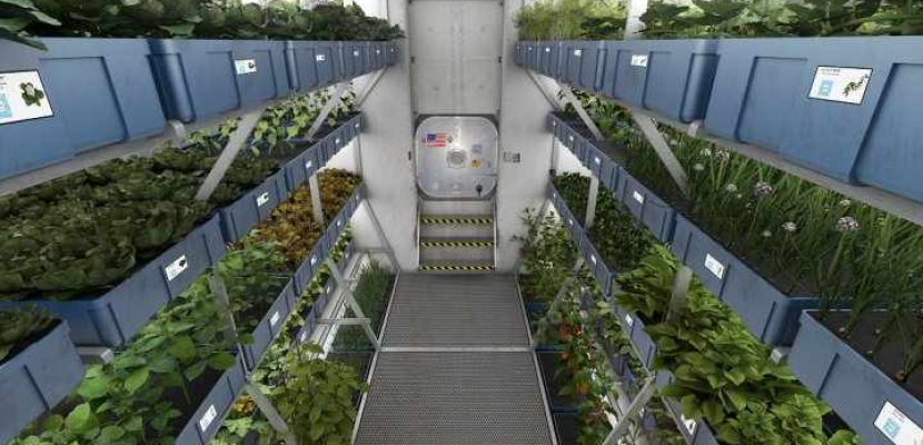 لأول مرة.. رواد الفضاء يتناولون وجبة تم إعدادها بخضراوات زرعت في “المزرعة الفضائية”