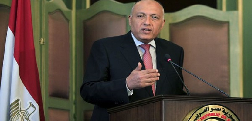وزارة الخارجية تبدأ استعداداتها لتصويت المصريين بالخارج في انتخابات مجلس النواب