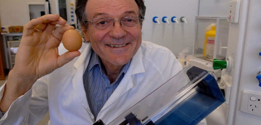 اختراع يعيد البيض نيئا بعد سلقه قد يساعد في علاج السرطان