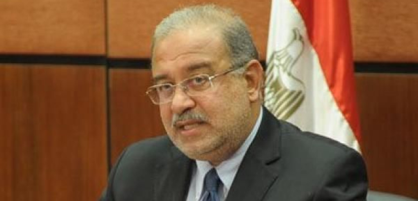 إسماعيل يلتقي وزير النفط العراقي ووزير الطاقة الأردني لبحث التعاون المشترك