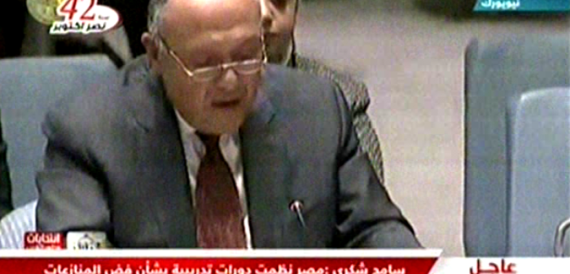 سامح شكري يلقي كلمة مصر أمام اللجنة الوزارية لمجلس الأمن 13-10-2015
