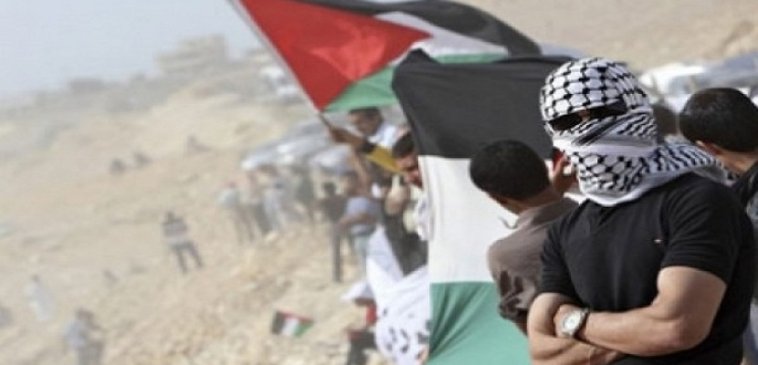 «السكين».. سلاح الفلسطينى فى مواجهة رصاص الاحتلال