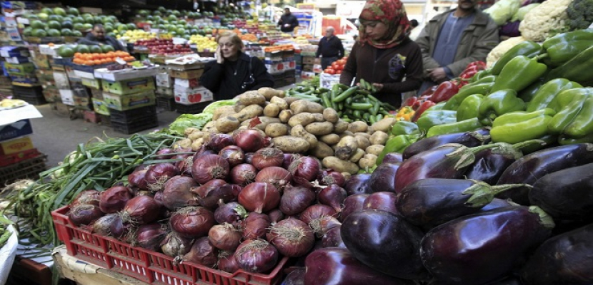 المركزي: تراجع أسعار اللحوم والدواجن والخضروات وراء انخفاض التضخم