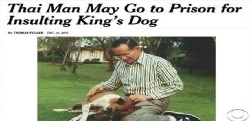 السجن.. عقوبة التهكم على كلبة الملك في تايلاند !!