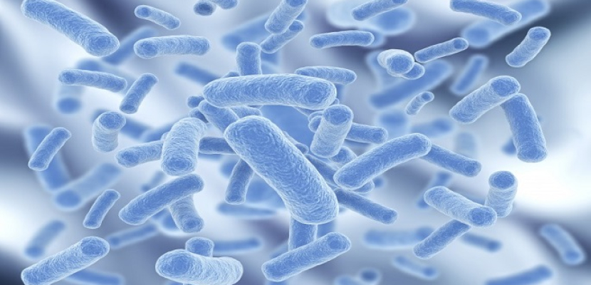40 ألف مليار بكتيريا تعيش فى جسم الانسان