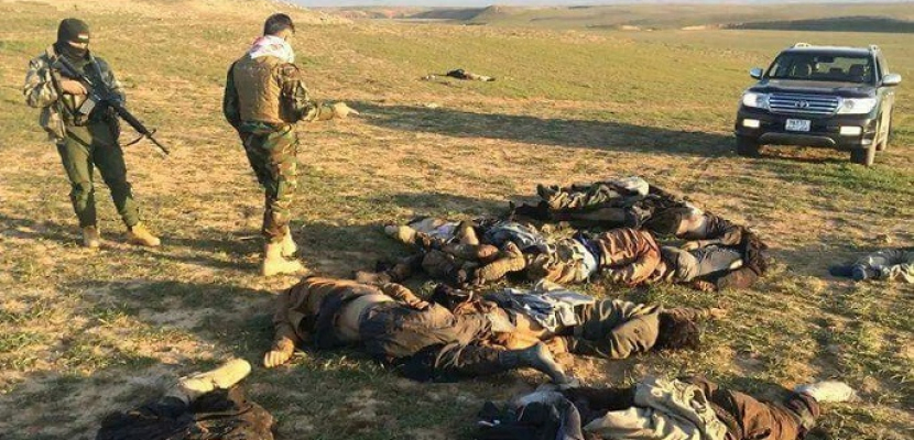 مقتل نحو 50 مسلحا من داعش في غارات تركية شمال سوريا