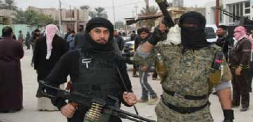 مقتل 22 إرهابيا من داعش في تحرير الريحانة العراقية