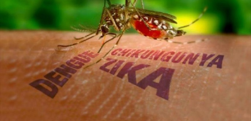 أمريكا تسجل 6 حالات إصابة بفيروس زيكا