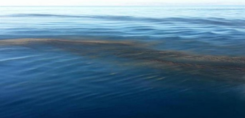 البيئة: إجراءات عاجلة للسيطرة على التلوث الزيتي برأس غارب