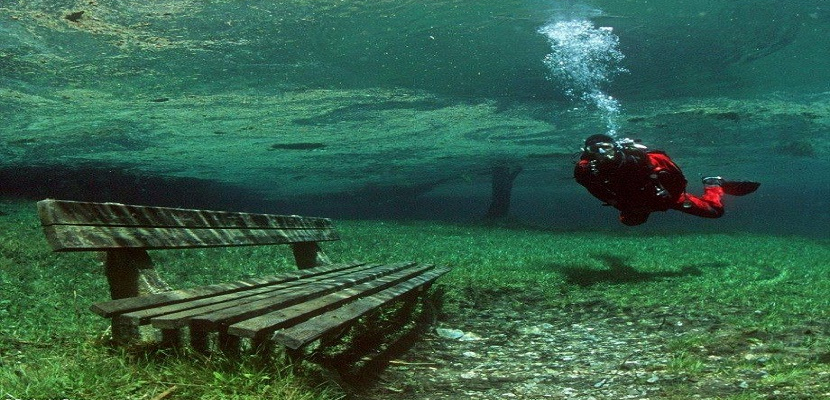 الحياة تحت الماء