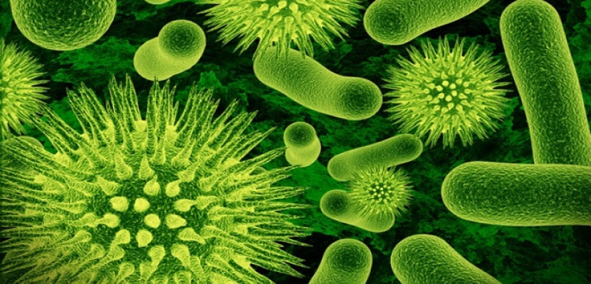 أمريكا ترصد أول حالة بكتيريا مقاومة لكل أنواع المضادات الحيوية