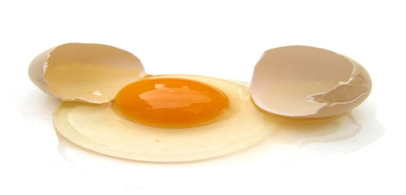 الجسم يمتص بروتين البيض بنسبة 100%