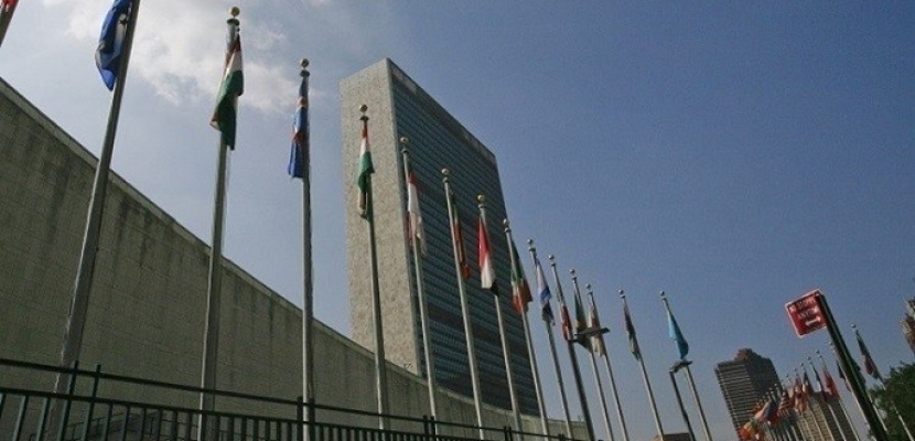 الحياة اللندنية : «فبركة» قطرية تثير الأمم المتحدة … ومفوضية حقوق الإنسان «تأسف”