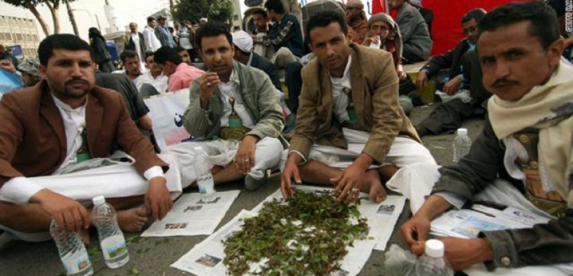 السلطات فى جنوب اليمن تحظر بيع القات وتمنع سيارات تحمله من دخول عدن