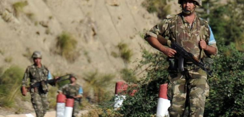 وزارة الدفاع الجزائرية: تصفية أربعة إرهابيين في ولاية المدية