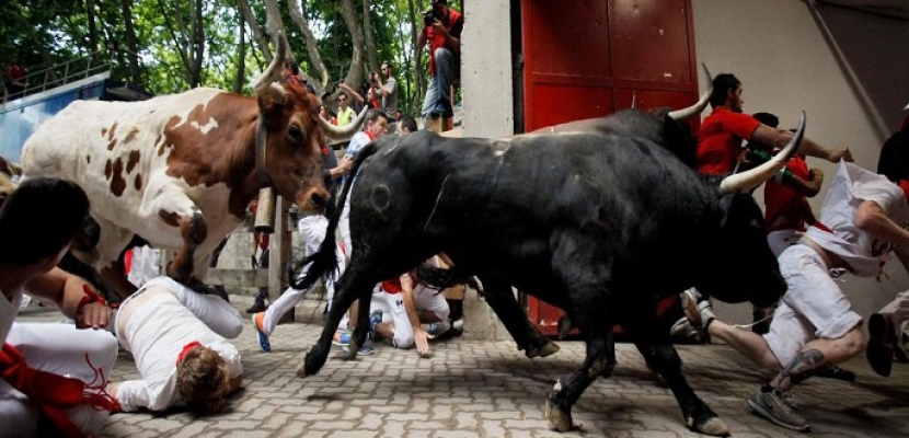 الثيران تقتل اثنين وتصيب آخرين خلال مهرجان “سان فيرمين” الإسباني
