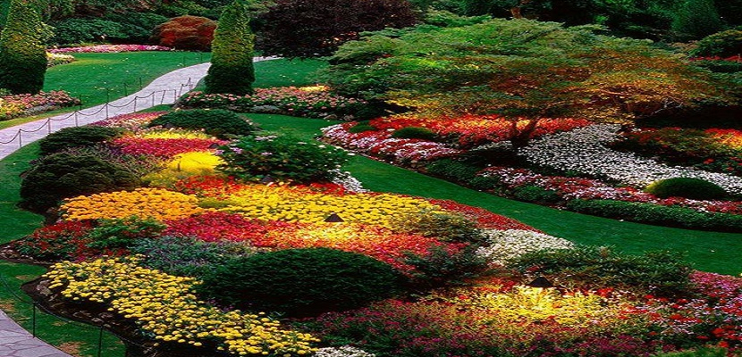 حدائق ملونة