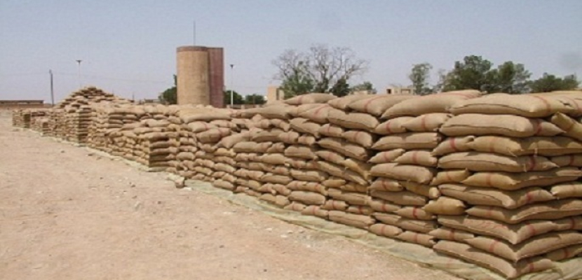استمرار عمليات توريد القمح للشون والصوامع بعدد من المحافظات