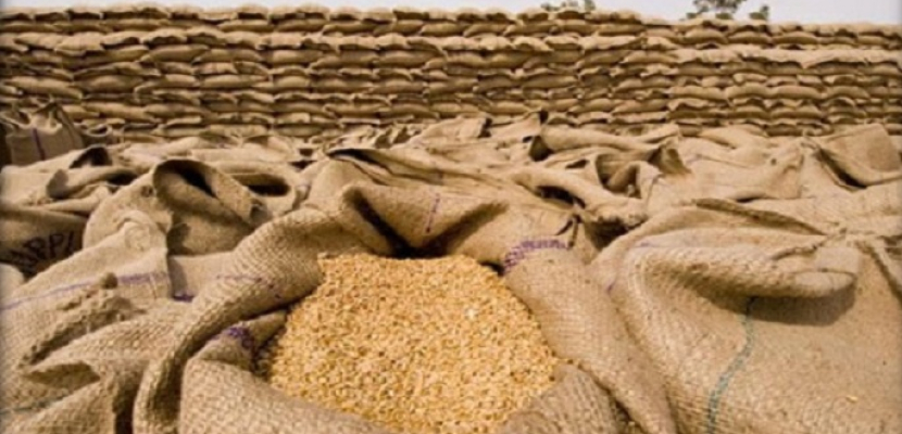 غرفة صناعة الحبوب تؤكد ضرورة وضع سعر متوازن لتوريد القمح