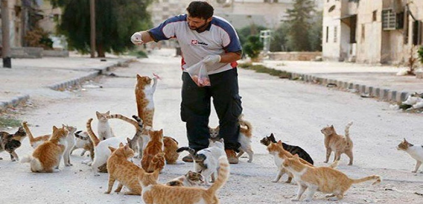 وسط الدمار .. سوري يتشبث بالبقاء في حلب لرعاية القطط