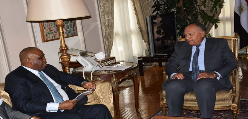 وزير الخارجية يبحث مع رئيس البنك الإفريقي برامج دعم الصادرات المصرية