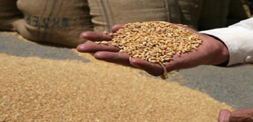 السلع التموينية: مناقصة لشراء كمية غير محددة من القمح