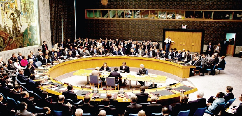 مصر تصوت لصالح مشروعي قرارين بمجلس الأمن لوقف العدائيات في سوريا