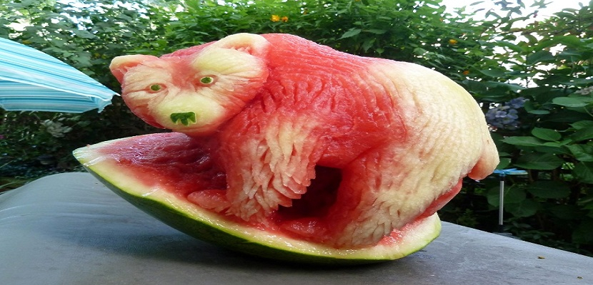 ابداع النحت على البطيخ