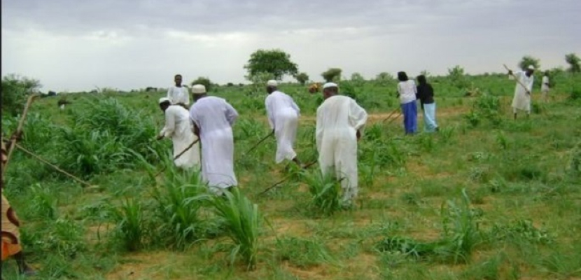 السودان يعرض على المستثمرين السعوديين أراضى للزراعة مجانا