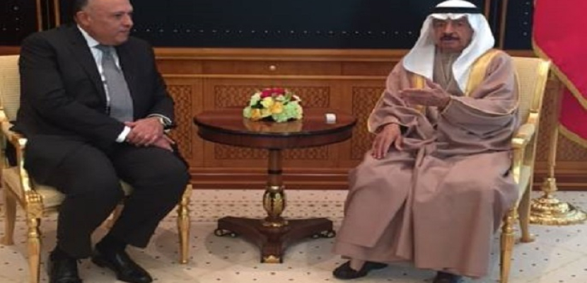 شكرى يبحث العلاقات الثنائية مع رئيس مجلس الوزراء البحرينى