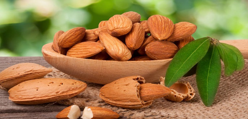 النيل للأخبار