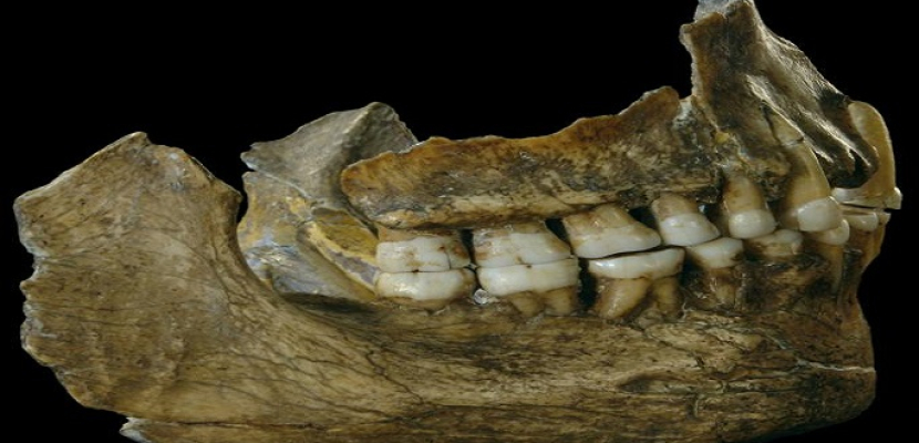 دراسة تكشف وجود آثار “للأسبرين” في أسنان إنسان عصر ما قبل التاريخ