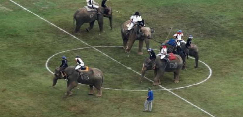 افتتاح بطولة بولو الأفيال في تايلاند بمشاركة 30 فيلا!!