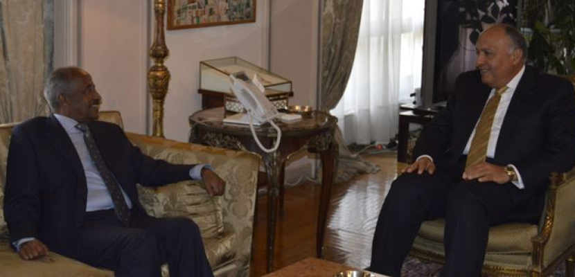 وزير الخارجية يبحث التعاون الثنائي والقضايا الإقليمية مع نظيره الإريتري