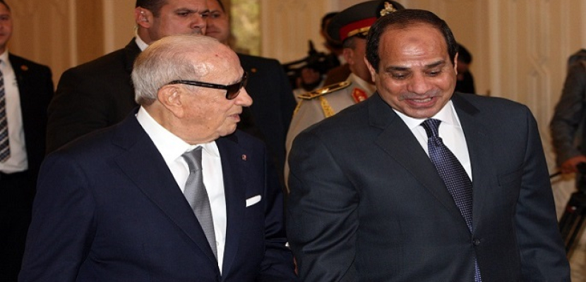 الرئيس التونسى : السيسى قادر على القيام بعمل كبير تجاه القارة الأفريقية