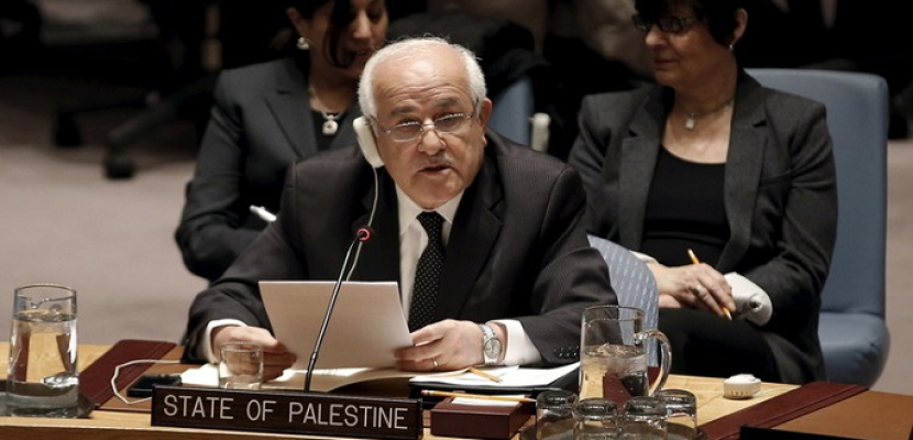 فلسطين تدعو المجتمع الدولي إلى فتح الطريق لأفق سياسي لإنهاء الاحتلال الإسرائيلي