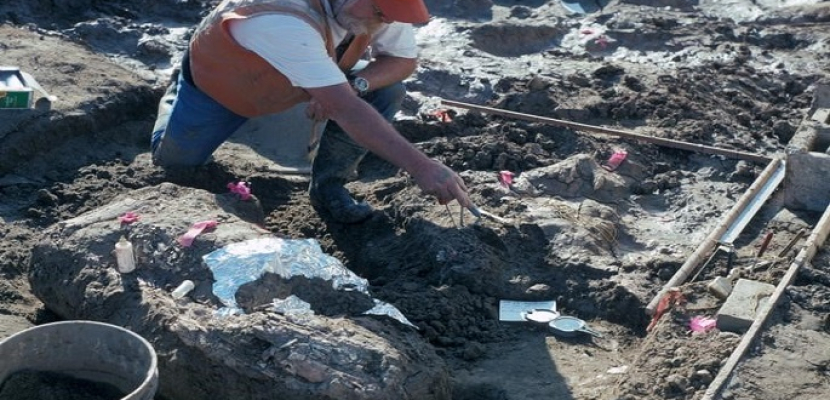 حفريات وأدوات حجرية قد تعيد كتابة تاريخ وجود الإنسان في الأمريكتين