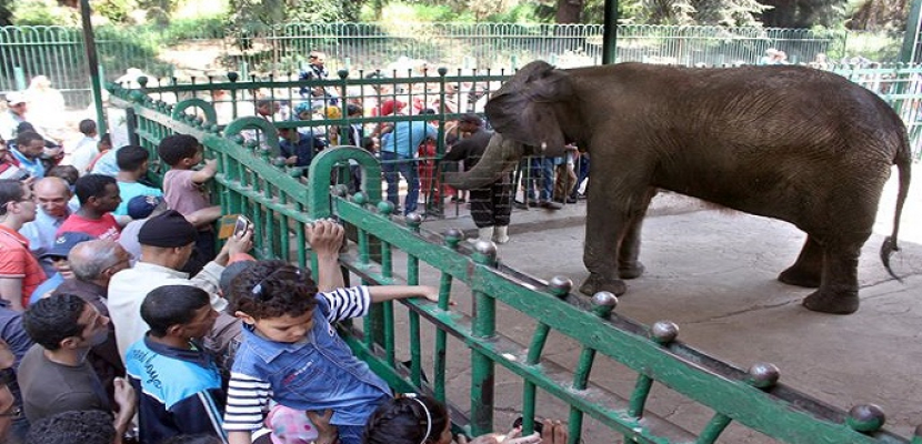 حديقة الحيوان تستقبل احتفالات المصريين بعيد الفطر المبارك