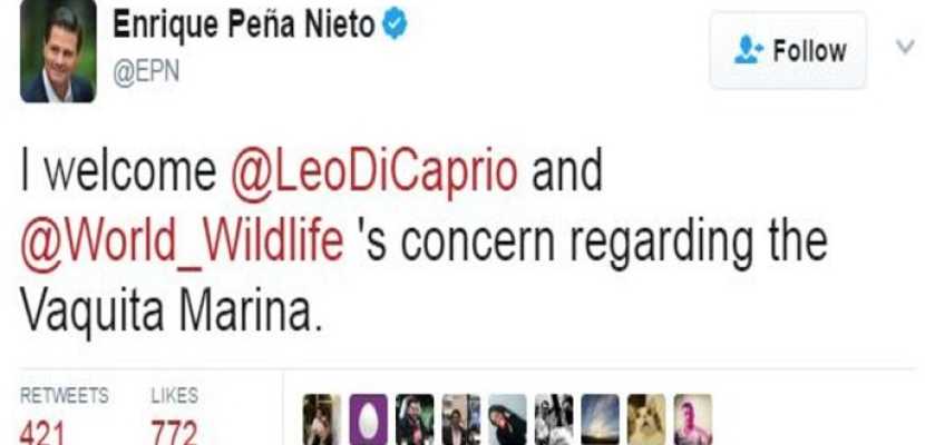 رئيس المكسيك يكتب إلى دي كابريو على تويتر بشأن دلافين “فاكيتا”