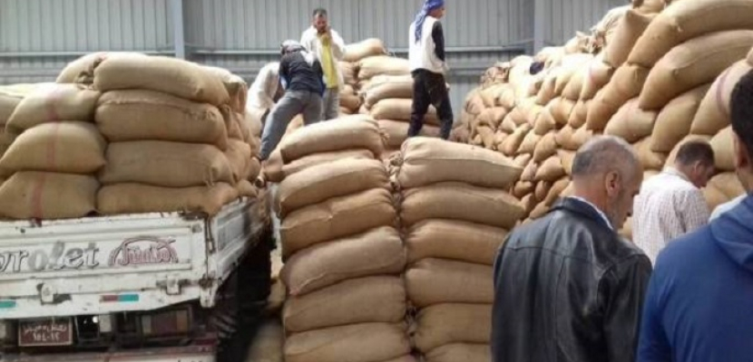 المصيلحي: نستهدف زيادة الوفر في استهلاك القمح لتقليل الاستيراد