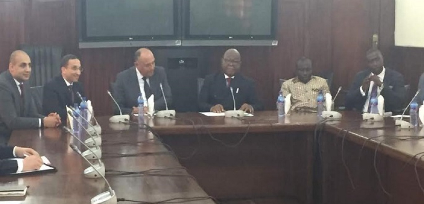 بالصور.. وزير الخارجية يبحث العلاقات الثنائية مع رئيس البرلمان الغاني