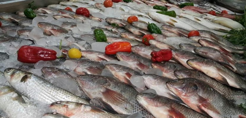 التجارة تمد قرار رسوم صادرات الأسماك لمدة عام