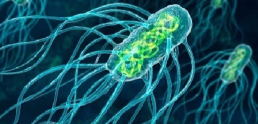 بكتيريا تنهش لحم الإنسان في أستراليا