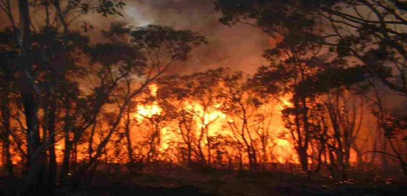 ارتفاع حصيلة ضحايا حرائق الغابات في البرتغال إلى 27 قتيلا وأكثر من 50 مصابا