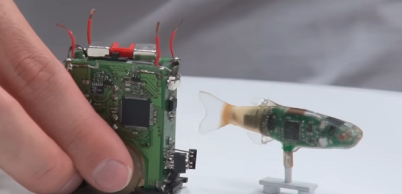 باحث سويسري يخترع “روبوت” يستطيع تقليد الأسماك