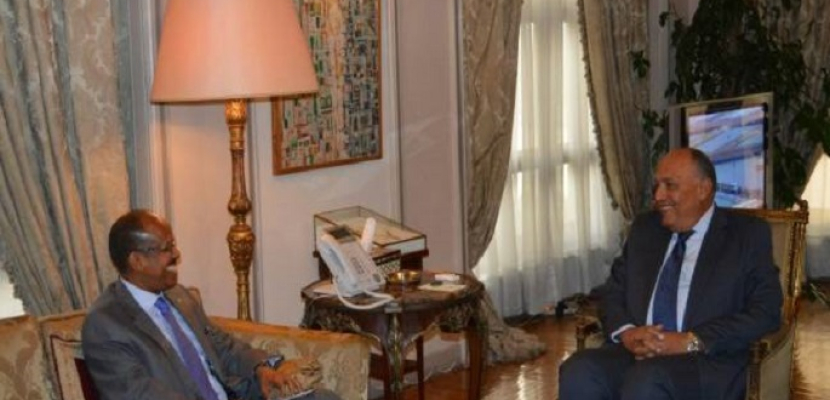 وزير الخارجية يبحث مع نظيره الجيبوتي التعاون الثنائي وقضايا منطقة القرن الأفريقي